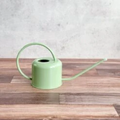 0.9 Liter- PLINT Stainless Steel Watering Can 18 0.9 Liter- PLINT Stainless Steel Watering Can -Eds Plant Shop 09 liter plint stainless steel watering can 676148