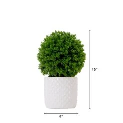 10-in Artificial Boxwood Topiary Plant With Decorative Planter -Eds Plant Shop 10 artificial boxwood topiary plant with decorative planter 909787