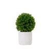 10-in Artificial Boxwood Topiary Plant With Decorative Planter 1 10-in Artificial Boxwood Topiary Plant With Decorative Planter -Eds Plant Shop 10 artificial boxwood topiary plant with decorative planter 914286