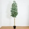 10-ft Artificial Eucalyptus Tree – Elegant Faux Decor 2 10-ft Artificial Eucalyptus Tree – Elegant Faux Decor -Eds Plant Shop 10 artificial eucalyptus tree elegant faux decor 854424