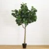 10-ft Artificial Fiddle Leaf Fig Tree 2 10-ft Artificial Fiddle Leaf Fig Tree -Eds Plant Shop 10 artificial fiddle leaf fig tree 885396