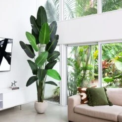 10-ft Artificial Travelers Palm Tree – Grand Tropical Statement -Eds Plant Shop 10 artificial travelers palm tree grand tropical statement 228825