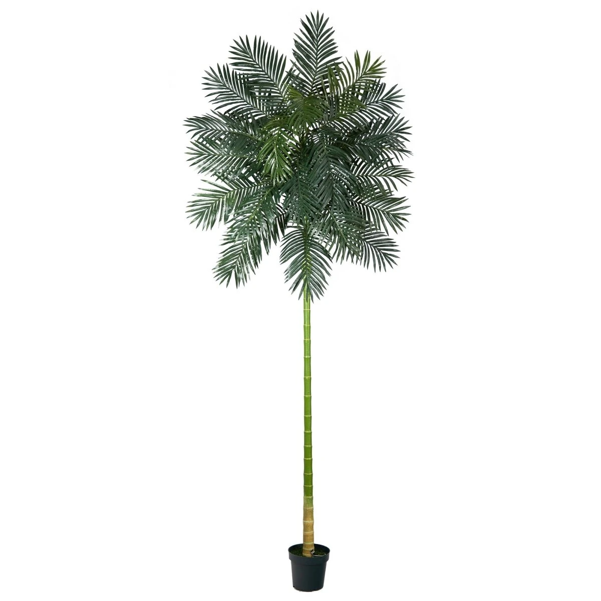 10-ft Golden Cane Artificial Palm Tree | Tall Faux Tropical Decor 3 10-ft Golden Cane Artificial Palm Tree | Tall Faux Tropical Decor