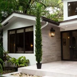 10-ft UV Resistant Artificial Cedar Pine Tree (Indoor/Outdoor) -Eds Plant Shop 10 uv resistant artificial cedar pine tree indooroutdoor 762790