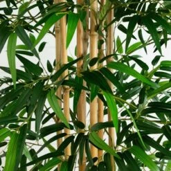 12-ft Artificial Bamboo Tree With Real Bamboo Trunks 10 12-ft Artificial Bamboo Tree With Real Bamboo Trunks -Eds Plant Shop 12 artificial bamboo tree with real bamboo trunks 738590