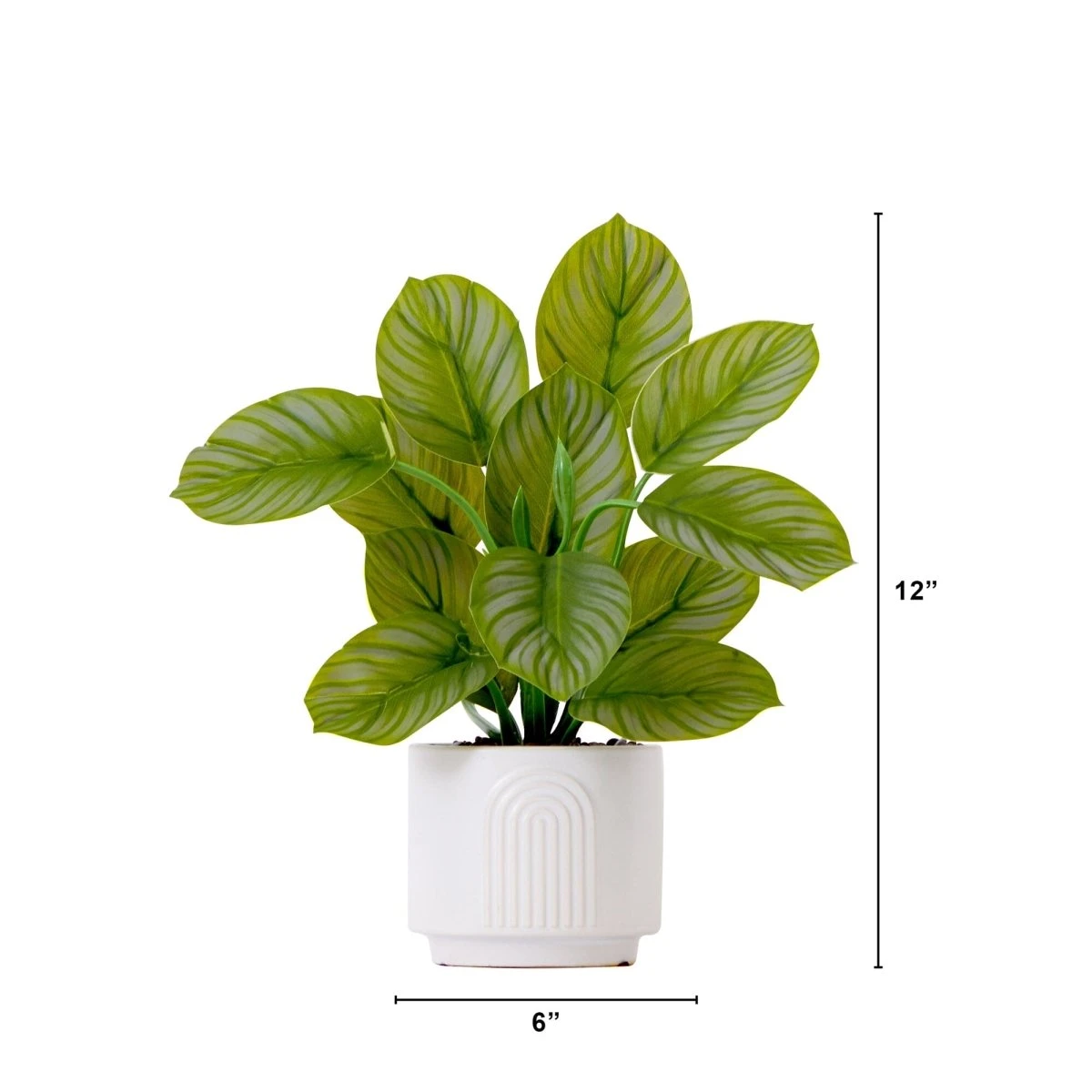 12-in Artificial Calathea Plant With Decorative Planter 8 12-in Artificial Calathea Plant With Decorative Planter - Image 6