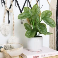 12-in Artificial Calathea Plant With Decorative Planter 11 12-in Artificial Calathea Plant With Decorative Planter -Eds Plant Shop 12 artificial calathea plant with decorative planter 677063