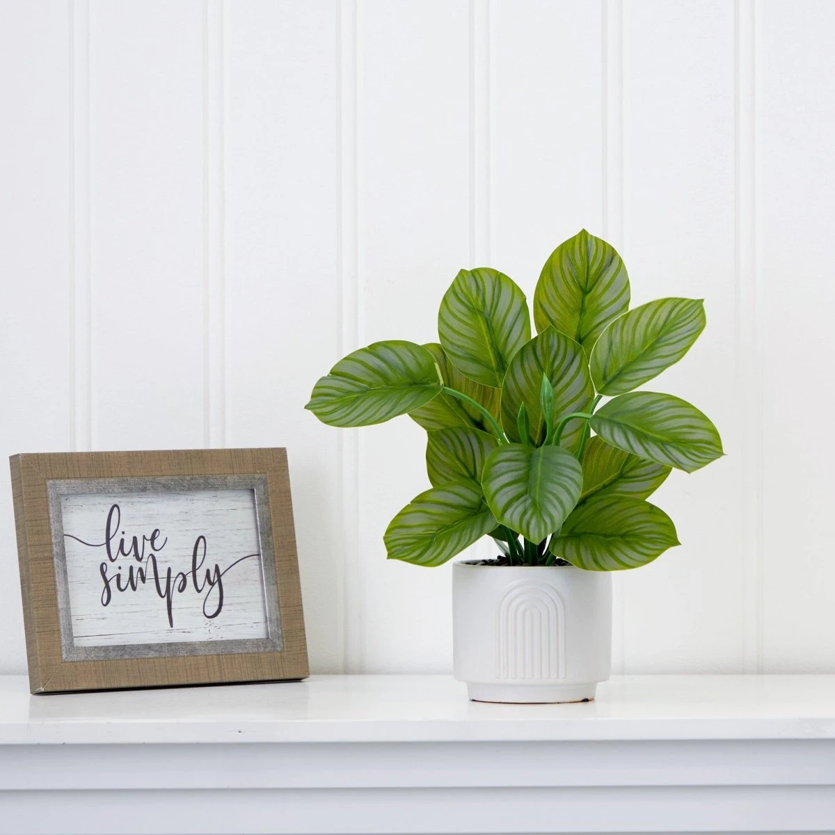 12-in Artificial Calathea Plant With Decorative Planter 7 12-in Artificial Calathea Plant With Decorative Planter - Image 5