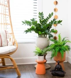 13-in Artificial Boston Fern Plant With Decorative Planter -Eds Plant Shop 13 artificial boston fern plant with decorative planter 533411