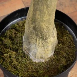 13-ft Faux Fiddle Leaf Fig Tree | Lifelike Indoor Tree -Eds Plant Shop 13 faux fiddle leaf fig tree lifelike indoor tree 619775