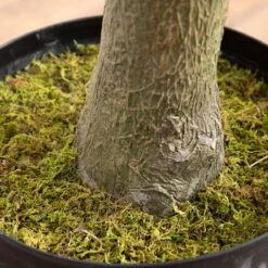 13-ft Giant Artificial Olive Tree -Eds Plant Shop 13 giant artificial olive tree 147280