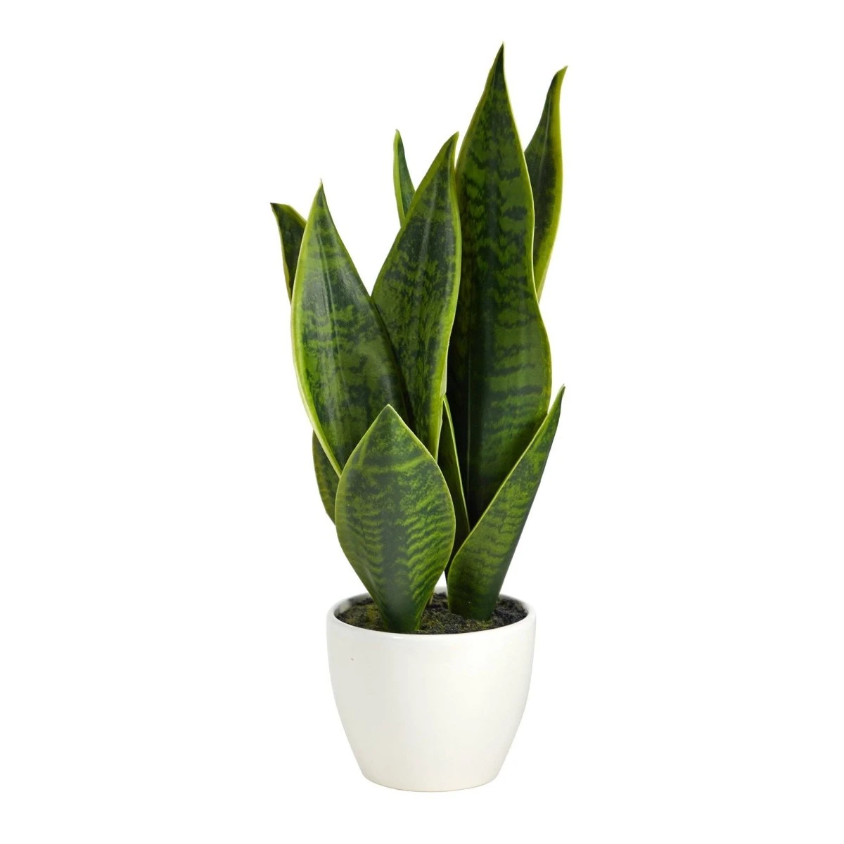 16-in Faux Snake Plant – Realistic Sansevieria In White Planter 3 16-in Faux Snake Plant – Realistic Sansevieria In White Planter