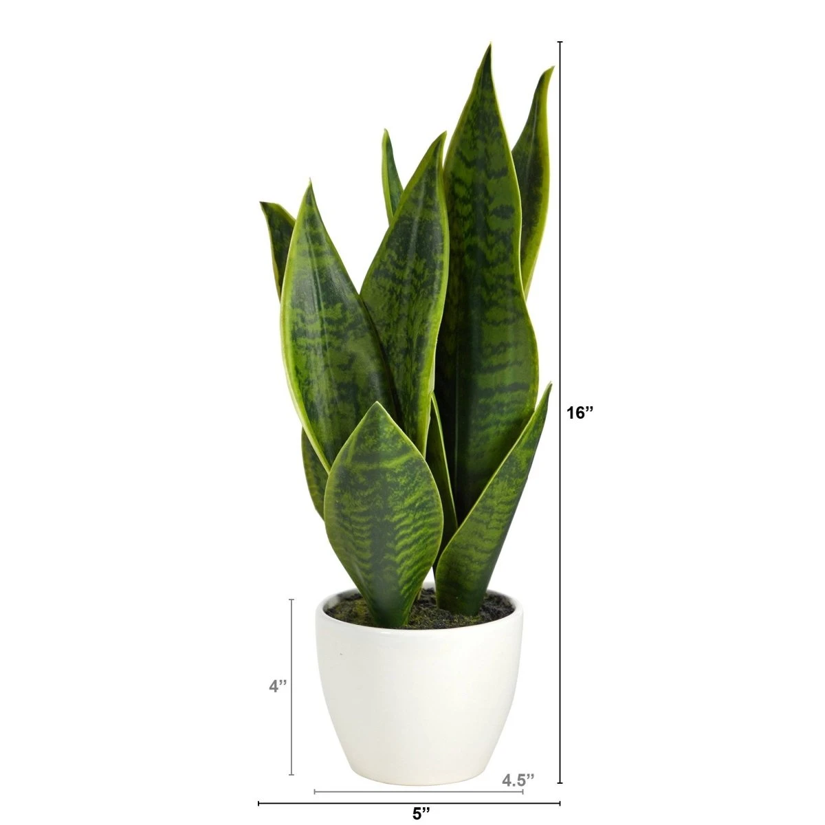 16-in Faux Snake Plant – Realistic Sansevieria In White Planter 4 16-in Faux Snake Plant – Realistic Sansevieria In White Planter - Image 2
