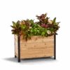 18" X 36" Cedar Planter Box – 24" Tall Raised Garden Bed 1 18" X 36" Cedar Planter Box – 24" Tall Raised Garden Bed -Eds Plant Shop 18 x 36 planter box 24 tall 204630