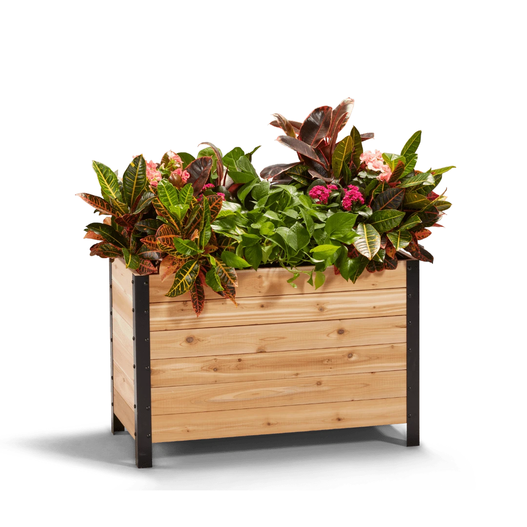 18" X 36" Cedar Planter Box – 24" Tall Raised Garden Bed 3 18" X 36" Cedar Planter Box – 24" Tall Raised Garden Bed