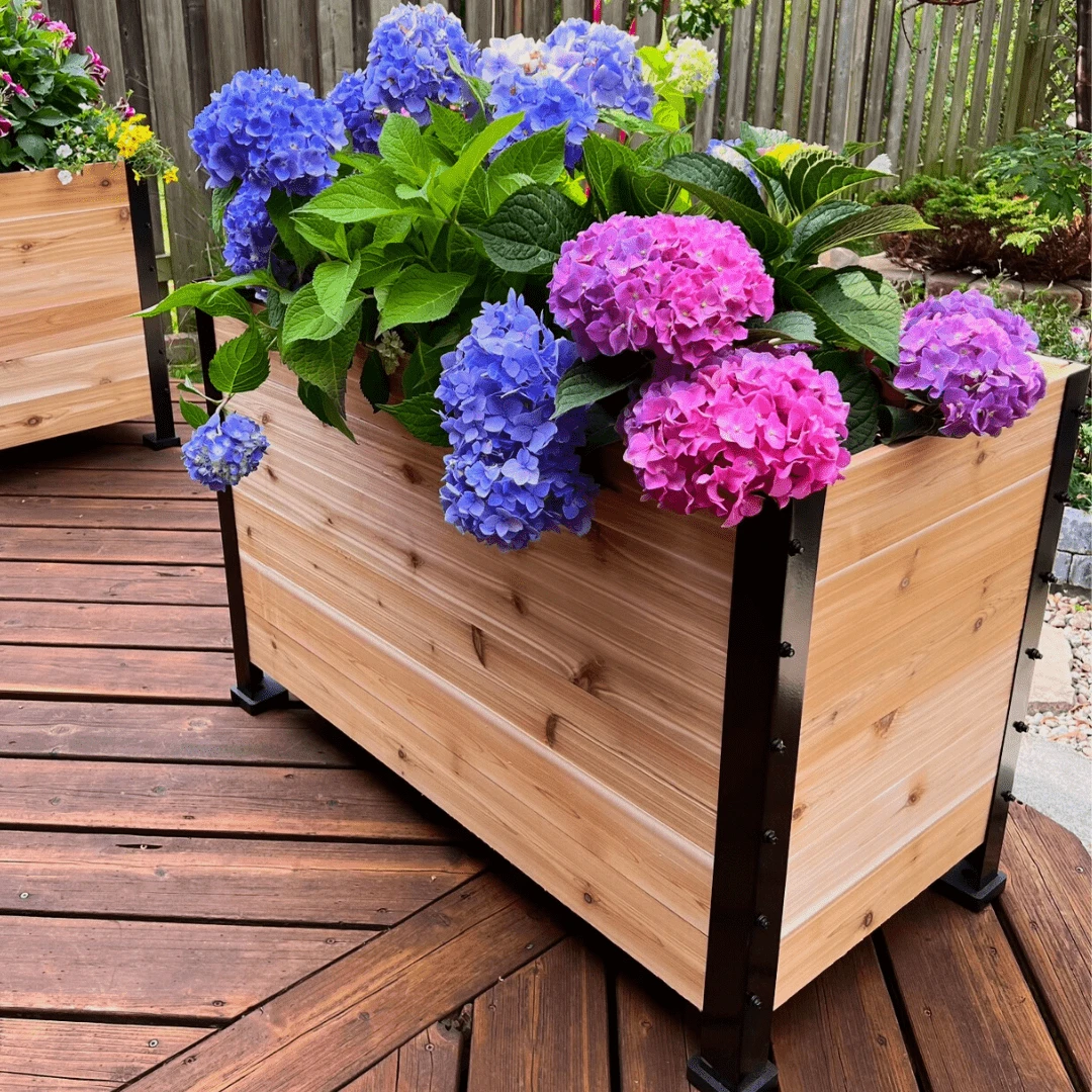 18" X 36" Cedar Planter Box – 24" Tall Raised Garden Bed 11 18" X 36" Cedar Planter Box – 24" Tall Raised Garden Bed - Image 9