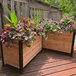 18" X 36" Cedar Planter Box – 24" Tall Raised Garden Bed 17 18" X 36" Cedar Planter Box – 24" Tall Raised Garden Bed -Eds Plant Shop 18 x 36 planter box 24 tall 781102