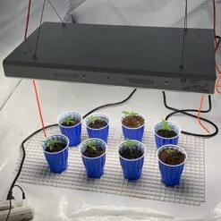 2' Plug & Play Grow Lamp – T5 HO Sun White Spectrum -Eds Plant Shop 2 plug play grow lamp t5 ho sun white spectrum 296970