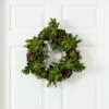 20-in Succulent Wreath | Timeless Elegance With Magnolia Blooms -Eds Plant Shop 20 succulent wreath timeless elegance with magnolia blooms 690648