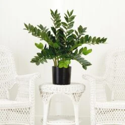 28-in Artificial ZZ Plant | Faux Zamioculcas For Effortless Indoor Greenery -Eds Plant Shop 28 artificial zz plant faux zamioculcas for effortless indoor greenery 717731