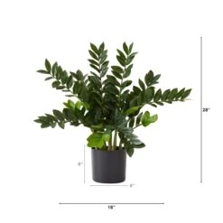 28-in Artificial ZZ Plant | Faux Zamioculcas For Effortless Indoor Greenery -Eds Plant Shop 28 artificial zz plant faux zamioculcas for effortless indoor greenery 722914