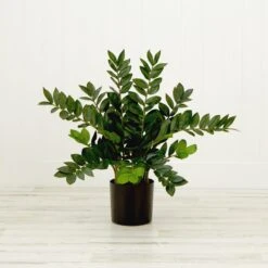 28-in Artificial ZZ Plant | Faux Zamioculcas For Effortless Indoor Greenery -Eds Plant Shop 28 artificial zz plant faux zamioculcas for effortless indoor greenery 888571