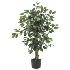 3-ft Ficus Silk Tree -Eds Plant Shop 3 ficus silk tree 354086