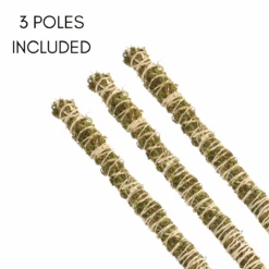 3 Pack Bendable Moss Pole™ THIN – Flexible Plant Support For Smaller Pots & Delicate Climbers -Eds Plant Shop 3 pack bendable moss pole thin flexible plant support for smaller pots delicate climbers 3151721