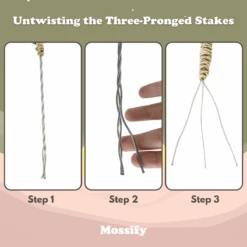 3 Pack Bendable Moss Pole™ THIN – Flexible Plant Support For Smaller Pots & Delicate Climbers -Eds Plant Shop 3 pack bendable moss pole thin flexible plant support for smaller pots delicate climbers 7070233