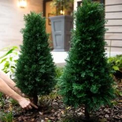 3-ft UV Resistant Artificial Cedar Plant With Integrated Ground Stake – Set Of 2 -Eds Plant Shop 3 uv resistant artificial cedar plant with integrated ground stake set of 2 376217