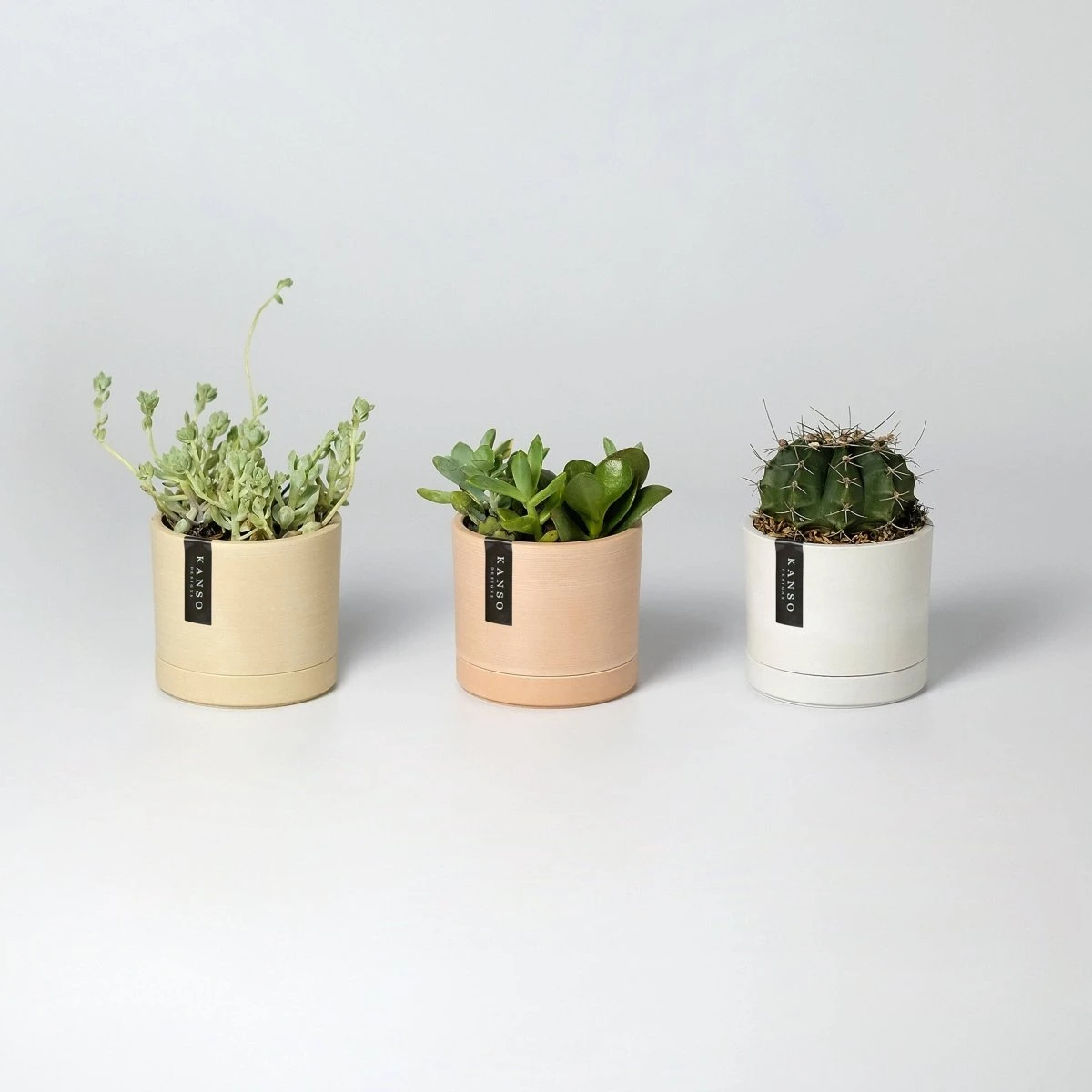 3.5" Earth Tone Mini Planters | 4 Colorways 4 3.5" Earth Tone Mini Planters | 4 Colorways - Image 2