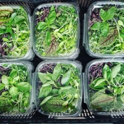 4' 8 Lamp LED Grow Light - T5 HO Sun White Pro Spectrum 14 4' 8 Lamp LED Grow Light - T5 HO Sun White Pro Spectrum -Eds Plant Shop 4 8 lamp led grow light t5 ho sun white pro spectrum 901175