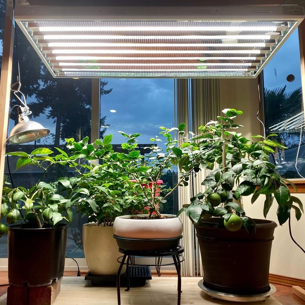 4' 8 Lamp LED Grow Light - T5 HO Sun White Pro Spectrum 8 4' 8 Lamp LED Grow Light - T5 HO Sun White Pro Spectrum - Image 6