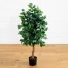 4-ft Ficus Auriculata Artificial Silk Tree – Lifelike Faux Tree With 504 Leaves 2 4-ft Ficus Auriculata Artificial Silk Tree – Lifelike Faux Tree With 504 Leaves -Eds Plant Shop 4 ficus auriculata artificial silk tree lifelike faux tree with 504 leaves 786601