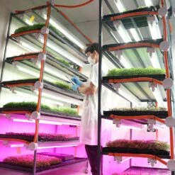 4' LED Grow Lamp – T8 HO Sun White Spectrum -Eds Plant Shop 4 led grow lamp t8 ho sun white spectrum 298542