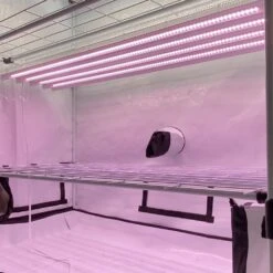 4' LED Grow Lamp With Ballas Bypass – T5 HO Red Bloom Pro Spectrum -Eds Plant Shop 4 led grow lamp with ballas bypass t5 ho red bloom pro spectrum 371167