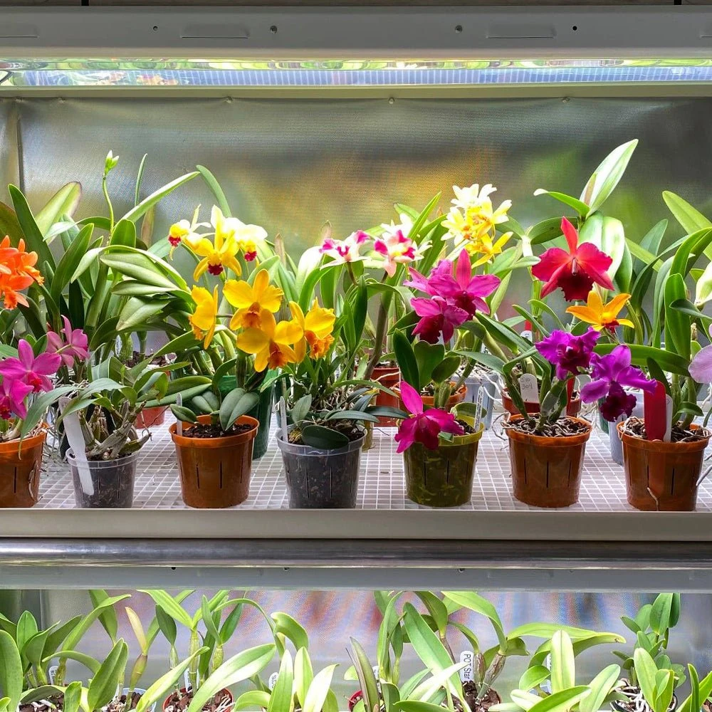 4' LED Grow Lamp With Ballast Bypass – T5 Sun White Spectrum 7 4' LED Grow Lamp With Ballast Bypass – T5 Sun White Spectrum - Image 5