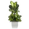 46-in Golden Dieffenbachia Artificial Plant In White Metal Planter -Eds Plant Shop 46 golden dieffenbachia artificial plant in white metal planter 215311