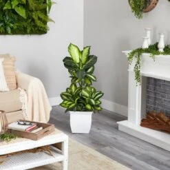 46-in Golden Dieffenbachia Artificial Plant In White Metal Planter -Eds Plant Shop 46 golden dieffenbachia artificial plant in white metal planter 318170