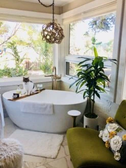 48-in Dracaena Silk Plant (Real Touch) -Eds Plant Shop 48 in dracaena silk plant real touch 1477814