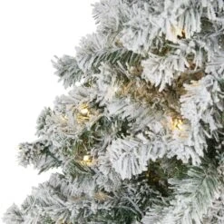 5-ft Flocked Rock Springs Spruce Christmas Tree | 150 LED Lights 11 5-ft Flocked Rock Springs Spruce Christmas Tree | 150 LED Lights -Eds Plant Shop 5 flocked rock springs spruce christmas tree 150 led lights 316955