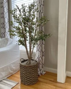 5-ft Mediterranean Olive Silk Tree – Lifelike Faux Foliage In Nursery Planter 17 5-ft Mediterranean Olive Silk Tree – Lifelike Faux Foliage In Nursery Planter -Eds Plant Shop 5 ft mediterranean olive silk tree lifelike faux foliage in nursery planter 1882793