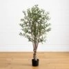 5-ft Mediterranean Olive Silk Tree – Lifelike Faux Foliage In Nursery Planter -Eds Plant Shop 5 ft mediterranean olive silk tree lifelike faux foliage in nursery planter 2253324