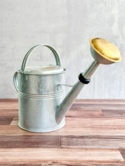 5 Liter- PLINT Watering Can- With Removable Sprinkler Head -Eds Plant Shop 5 liter plint watering can with removable sprinkler head 450153
