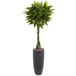 5.5-ft Artificial Money Tree In Gray Cylinder Planter (Real Touch)
