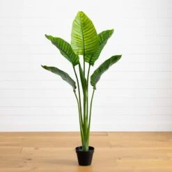 64-in Travelers Palm Tree – UV Resistant (Indoor/Outdoor)