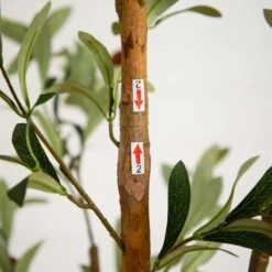 7-ft Artificial Olive Tree With Natural Trunk -Eds Plant Shop 7 ft artificial olive tree with natural trunk 412217