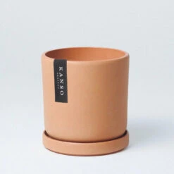 7 Inch Upcycled Signature Stone Planter Pot & Saucer -Eds Plant Shop 7 inch upcycled signature stone planter pot saucer 110747