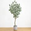 7.5-ft Faux Eucalyptus Tree | Realistic Indoor Greenery – Ed's Plant Shop -Eds Plant Shop 75 faux eucalyptus tree realistic indoor greenery eds plant shop 204024