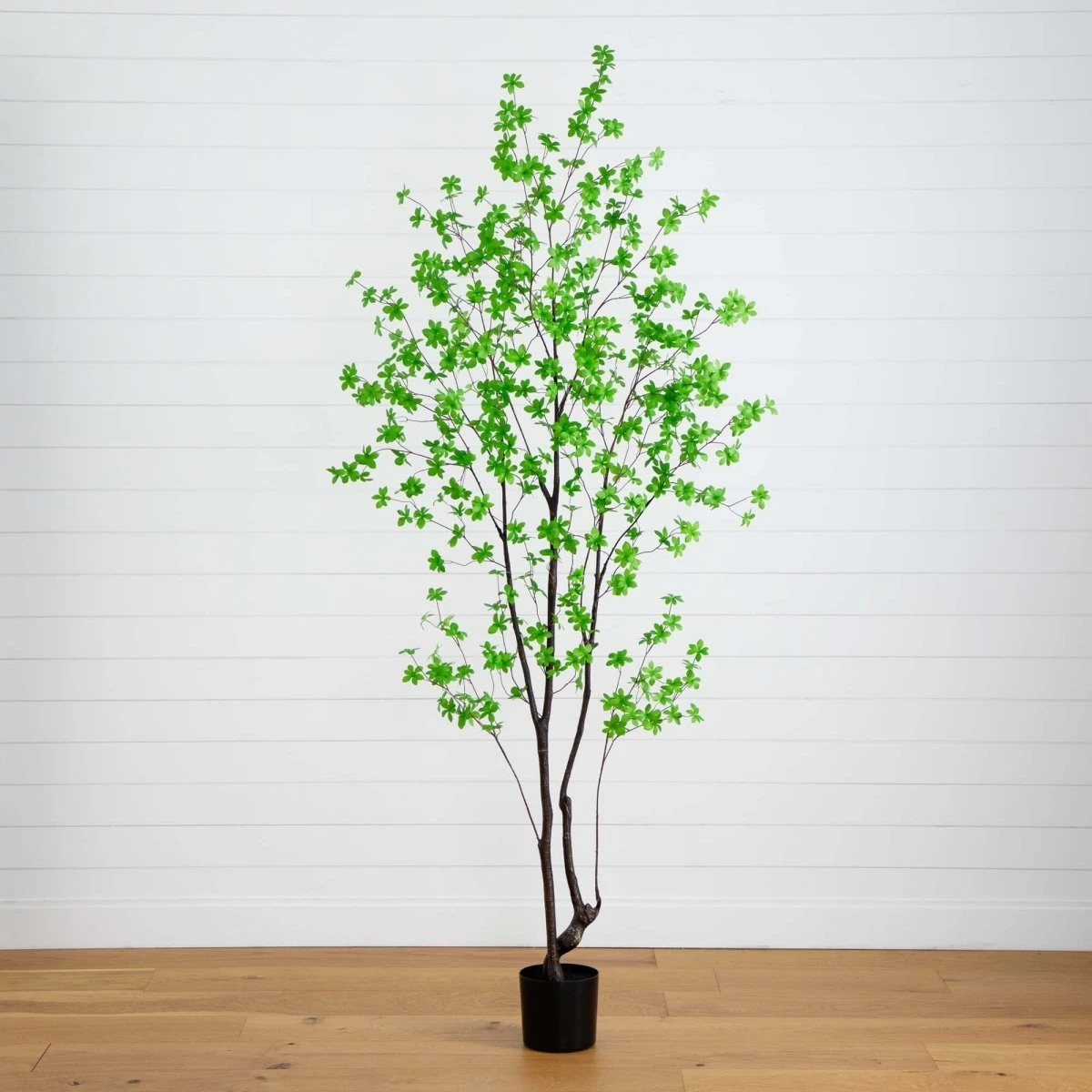 8-ft Artificial Minimalist Enkianthus Tree 3 8-ft Artificial Minimalist Enkianthus Tree